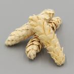 [P5 раз средний 12/02 09:59 до ] сухой цветок материалы для цветочной композиции в тот же день отгрузка -тактный осел скон Sara si материалы для цветочной композиции материалы материал детали сосна зонт сосна . сосна .... белый core trailing 