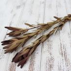  сухой цветок материалы для цветочной композиции в тот же день отгрузка LD Safari Sunset дикий цветок сухой цветок swag букет сухой цветок букет Lee оценка trailing 