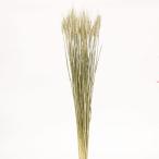 сухой цветок материалы для цветочной композиции в тот же день отгрузка пшеница натуральный материалы для цветочной композиции материалы материал детали местного производства японский костюм сухой цветок swag букет букет lease оборудование орнамент core trailing 