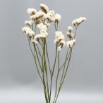  сухой цветок материалы для цветочной композиции в тот же день отгрузка кермек Pal k материалы для цветочной композиции материалы материал детали сухой цветок белый белый resin лепесток swag букет core trailing 