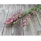 [P5 раз средний 12/02 09:59 до ] сухой цветок материалы для цветочной композиции в тот же день отгрузка Delphi новый m* натуральный розовый сухой цветок swag букет букет core trailing 