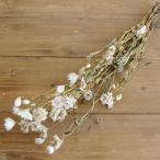  сухой цветок материалы для цветочной композиции в тот же день отгрузка погрузчик nse* натуральный белый сухой цветок swag букет сухой цветок букет lease организовать core trailing 