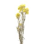  сухой цветок материалы для цветочной композиции в тот же день отгрузка дыра Harris натуральный желтый желтый цвет материалы для цветочной композиции материал ... детали swag букет букет lease украшение для волос . core trailing 