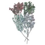  консервированный цветок материалы для цветочной композиции .... товар эвкалипт Bay Be сухой цветок материалы для цветочной композиции материалы детали материал зеленый leaf лист сохранять зеленый гербарий . входить 