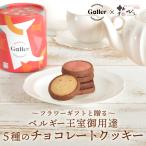 【クーポンで50％OFF】 クッキー 即日出荷 ガレー 5種のチョコレートクッキー [賞味期限2024/8/29] Galler チョコレート チョコクッキー クーベルチュール