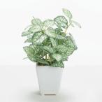  искусственная зелень декоративное растение .... товар Pepe ro mia pot декоративное растение . лист . искусственная зелень leaf модный Nankoku способ интерьер искусственный цветок искусственная листва меньше 