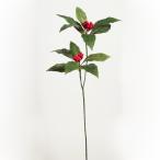 [P5 раз средний 12/02 09:59 до ] искусственный цветок .... товар новый тысяч обе интерьер интерьер цветок поддельный цветок шелк цветок интерьер зеленый искусственный цветок 