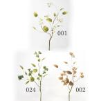 [P5 раз средний 12/02 09:59 до ] искусственный цветок зеленый реальный .... товар ma колодка Berry leaf tsig реальный было использовано дерево. реальный лист лист .. ветка белый розовый бежевый зеленый весна 