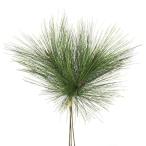 [P5 раз средний 12/02 09:59 до ] Новый год искусственный цветок зеленый .... товар сосна. пачка (3шт.@/ пачка )matsu сосна лист Новый год Новый год организовать Новый год материалы для цветочной композиции .. предмет зеленый зеленый искусственный цветок новый год мир 