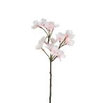  искусственный цветок .... товар Sakura pick Sakura Cherry bro Sam Sakura ветка предмет оборудование орнамент Sakura Cherry bro Sam Sakura розовый незначительный розовый свет розовый весна весна. цветок первый весна украшение для волос зима 