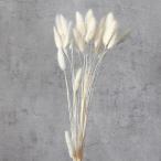 [P5 раз средний 12/02 09:59 до ] сухой цветок материалы для цветочной композиции в тот же день отгрузка GPla стакан dry белый . сухой цветок swag букет сухой цветок букет нежный 