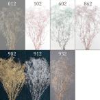 [P5 раз средний 12/02 09:59 до ] консервированный цветок материалы для цветочной композиции .... товар super soft Minica smi.* коврик белый. изображение .. немного белый тест . сильный случается большой 