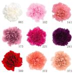  консервированный цветок материалы для цветочной композиции .... товар гвоздика (1 коробка 8 колесо ввод ) сухой цветок материалы для цветочной композиции материалы детали материал потускнение цвет nyu Anne скалярный pli большой земля сельское хозяйство .