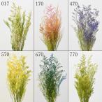  консервированный цветок материалы для цветочной композиции .... товар rental Piaa материалы для цветочной композиции материалы материал детали сухой цветок сохранять букет зеленый зеленый желтый цвет желтый розовый голубой большой земля сельское хозяйство .