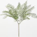 [P10 раз средний 3/2 9:59 до ] консервированный цветок материалы для цветочной композиции .... товар ножны ta- мех n* консервированный материалы для цветочной композиции материалы материал детали сухой цветок букет большой земля сельское хозяйство .