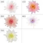 プリザーブドフラワー 花材 とりよせ品 ことね菊(1箱6輪入り) 花材 素材 パーツ 材料 ドライフラワー 菊 小菊 仏花 和モダン 和風 正月 迎春 DIY 大地農園