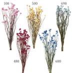  сухой цветок материалы для цветочной композиции .... товар Anne mo вид m dry природа материалы натуральный сухой цветок интерьер интерьер цветок pli сохранять детали большой земля сельское хозяйство .