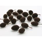  сухой цветок материалы для цветочной композиции .... товар cocos nucifera .bsi дерево. реальный фрукты плоды орехи dry природа материалы сухой цветок натуральный сухой цветок pli. входить большой земля сельское хозяйство .