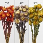  сухой цветок материалы для цветочной композиции .... товар серебряный te-ji- материалы для цветочной композиции материалы материал детали серебряный Дэйзи . цвет two цветный двухцветный желтый orange букет большой земля сельское хозяйство .