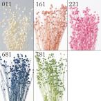 【ポイント5倍中 9/2 09_59迄 爆買 】 ドライフラワー 花材 とりよせ品 リンフラワー ドライ 自然素材 ナチュラルドライフラワー インテリア プリ 大地農園