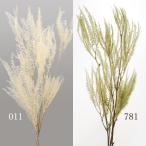 [P5 раз средний 12/02 09:59 до ] сухой цветок материалы для цветочной композиции .... товар машина ni bar мех n природа материалы натуральный сухой цветок интерьер pli сохранять . входить большой земля сельское хозяйство .