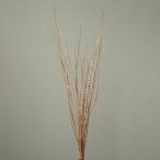 [P5 раз средний 12/02 09:59 до ] сухой цветок материалы для цветочной композиции .... товар ba бегемот стакан дисплей интерьер свадебный Space стиль натуральный ветка предмет большой земля сельское хозяйство .