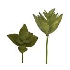  искусственный цветок зеленый суккулентное растение .... товар много мясо pick темно-зеленый (1 пакет 6 штук ) воздушный растения sa Curren тонн кактус интерьер искусственная зелень весна pare