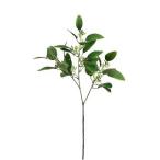 [P5 раз средний 12/02 09:59 до ] искусственный цветок зеленый .... товар si Kimi a спрей зеленый интерьер искусственная зелень детали интерьер цветок материалы для цветочной композиции материалы pare