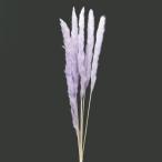  сухой цветок материалы для цветочной композиции в тот же день отгрузка tail Lead свет лаванда swag украшение для волос материалы для цветочной композиции детали материал букет букет хлеб Pas серия lease Aska ASCA Aska association 