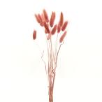  сухой цветок материалы для цветочной композиции в тот же день отгрузка [35%OFF]la стакан mo- хлеб ( ограниченное количество ) материалы для цветочной композиции материалы материал детали сиреневый красный потускнение цвет DIY Aska ASCA Aska association 