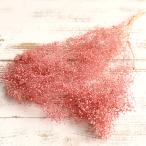  консервированный цветок материалы для цветочной композиции в тот же день отгрузка Minica smi.k громкий розовый . древесный уголь rental mi rental mi. гипсофила консервированный цветок swag букет цветок большой земля сельское хозяйство .