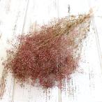 【ポイント5倍中 11/03 09_59迄】 プリザーブドフラワー 花材 即日出荷 ミニカスミ草 パウダーローズ かすみ カスミ カスミ草 かすみ草 スワッグ 大地農園