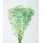  консервированный цветок материалы для цветочной композиции в тот же день отгрузка Minica smi.ve-ru зеленый . древесный уголь rental mi rental mi. гипсофила консервированный цветок swag букет большой земля сельское хозяйство .