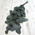  консервированный цветок материалы для цветочной композиции в тот же день отгрузка эвкалипт *po тянуть s зеленый * жидкость ... возможность есть leaf лист консервированный цветок swag букет букет большой земля сельское хозяйство .