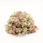  консервированный цветок материалы для цветочной композиции в тот же день отгрузка дыра bell * head орегано розовый сухой цветок материалы для цветочной композиции материалы материал детали гортензия .... фиолетовый . цветок розовый большой земля сельское хозяйство .