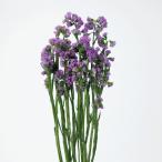 [P10 раз средний 3/2 9:59 до ] консервированный цветок материалы для цветочной композиции в тот же день отгрузка кермек розовый консервированный цветок swag букет сухой цветок букет большой земля сельское хозяйство .