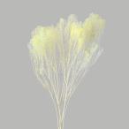  консервированный цветок материалы для цветочной композиции в тот же день отгрузка moli Sony a Angel желтый консервированный цветок swag букет сухой цветок букет lease материалы для цветочной композиции большой земля сельское хозяйство .