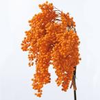  консервированный цветок материалы для цветочной композиции в тот же день отгрузка перец Berry * консервированный orange консервированный цветок swag букет сухой цветок букет материалы для цветочной композиции большой земля сельское хозяйство .