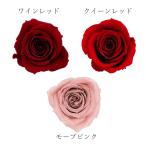 プリザーブドフラワー 花材 即日出荷 ローズ・いずみ・カラーアソート(9輪入り) レッドミックス 花材 素材 材料 パーツ ドライフラワー バラ 赤 大地農園