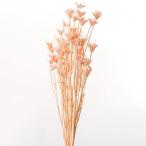  сухой цветок материалы для цветочной композиции в тот же день отгрузка чернушка olienta белка шелковый розовый сухой цветок swag букет сухой цветок букет lease организовать материалы для цветочной композиции большой земля сельское хозяйство .