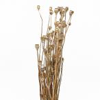 ドライフラワー 花材 即日出荷 シャーリーポピー ナチュラル ドライフラワー スワッグ ブーケ ドライフラワー花束 ドライフラワースワッグ 花材 大地農園