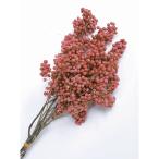 《ドライフラワー 花材》出荷大地農園 ペッパーベリー・バンチ