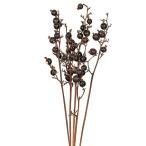 ドライフラワー 花材 即日出荷 ブラックベリー ナチュラル ドライフラワー スワッグ ブーケ ドライフラワー花束 ドライフラワースワッグ リース 大地農園