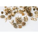 《ドライフラワー 花材》出荷大地農園 コーンアソート