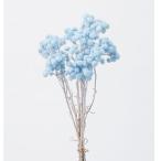 ドライフラワー 花材 即日出荷 イモーテル ベビーブルー ※画像より少し濃い場合があります (在庫限り) ドライフラワー スワッグ ブーケ 花束 卸 大地農園