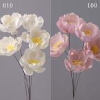 [P5 раз средний 12/02 09:59 до ] ручная работа цветок материалы для цветочной композиции в тот же день отгрузка [40%OFF] специальная цена солнечный che lishu( ограниченное количество ) материалы для цветочной композиции материалы материал детали белый букет большой земля сельское хозяйство .