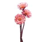 【P5倍中 2/2 09_59迄】 ドライフラワー 花材 即日出荷 リペンス・ロゼッタ クリスタルピンク 〇 花材 素材 パーツ ワイルドフラワー ブライダル 大地農園