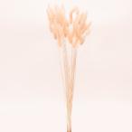 [P5 раз средний 12/02 09:59 до ] сухой цветок материалы для цветочной композиции в тот же день отгрузка la стакан шербет pi-chi материалы для цветочной композиции материалы материал детали нежный swag легкий розовый DIY большой земля сельское хозяйство .