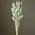 [P5 раз средний 12/02 09:59 до ] сухой цветок материалы для цветочной композиции в тот же день отгрузка la стакан кобальт зеленый материалы для цветочной композиции материалы материал детали нежный swag бледно-голубой букет букет большой земля сельское хозяйство .