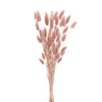  dry flower material for flower arrangement * the same day shipping * large ground agriculture .la glass mauve pink . soft mauve pink sombreness color nyu Anne scalar material for flower arrangement raw materials lease bouquet bouquet 